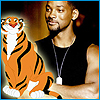Rajah the tiger