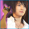 Siamese Cat Twin