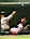 varitek_181.jpg