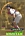 varitek_72.jpg