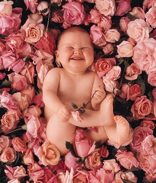 baby pics