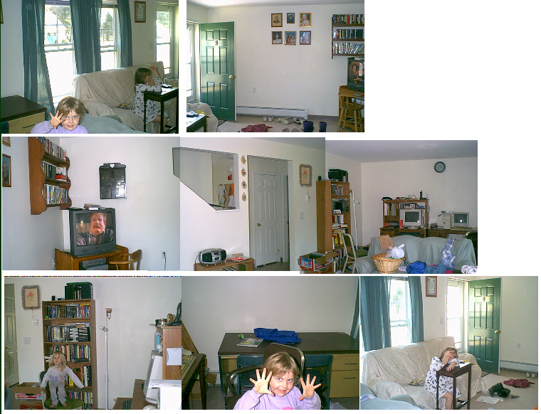 The living room