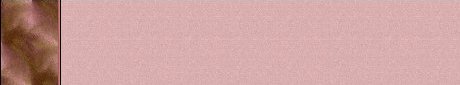 bgbrdrpinkgoldsample.jpg (7555 bytes)