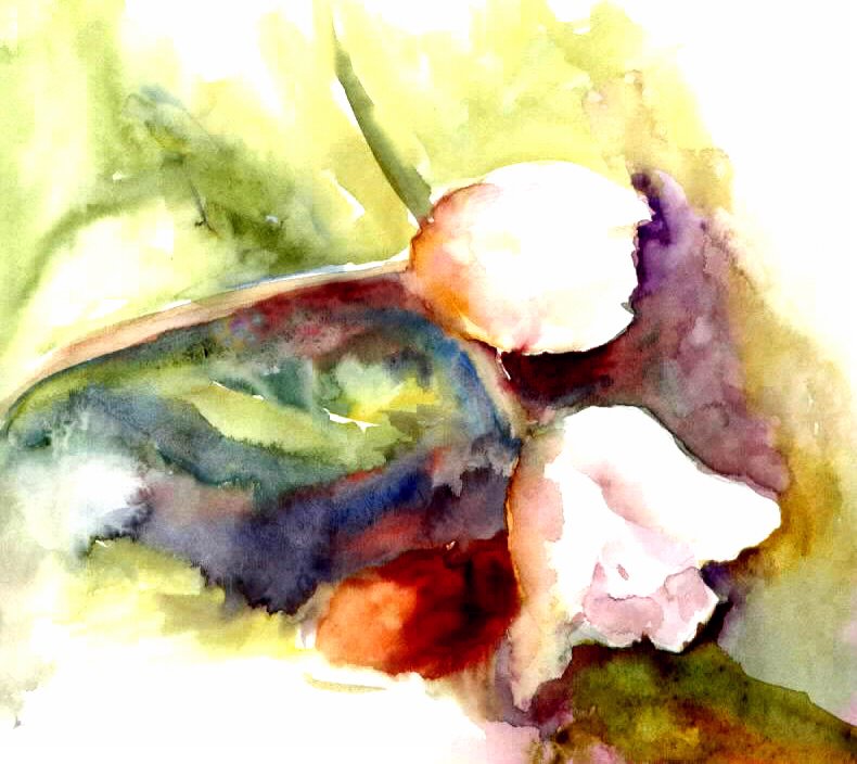 Two Tulips by Kathy Bade