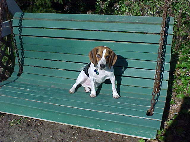 /user/bench.JPG