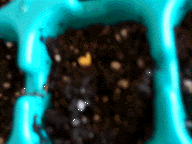 See that yellow blob?  Thats my first success!