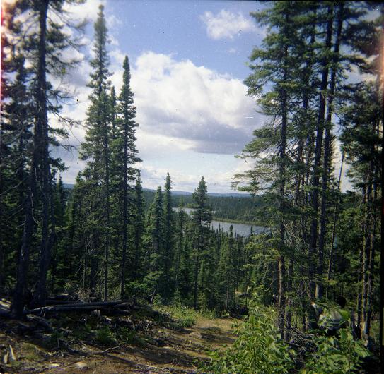 Beautiful Goose Bay in 1958.