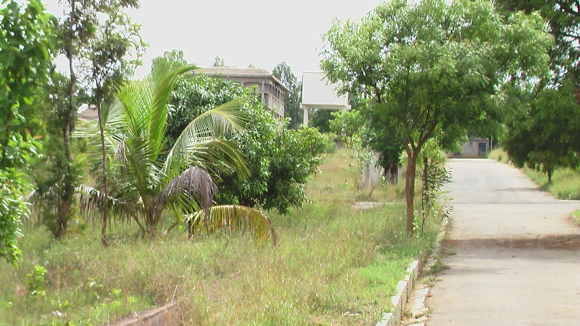 Overall View