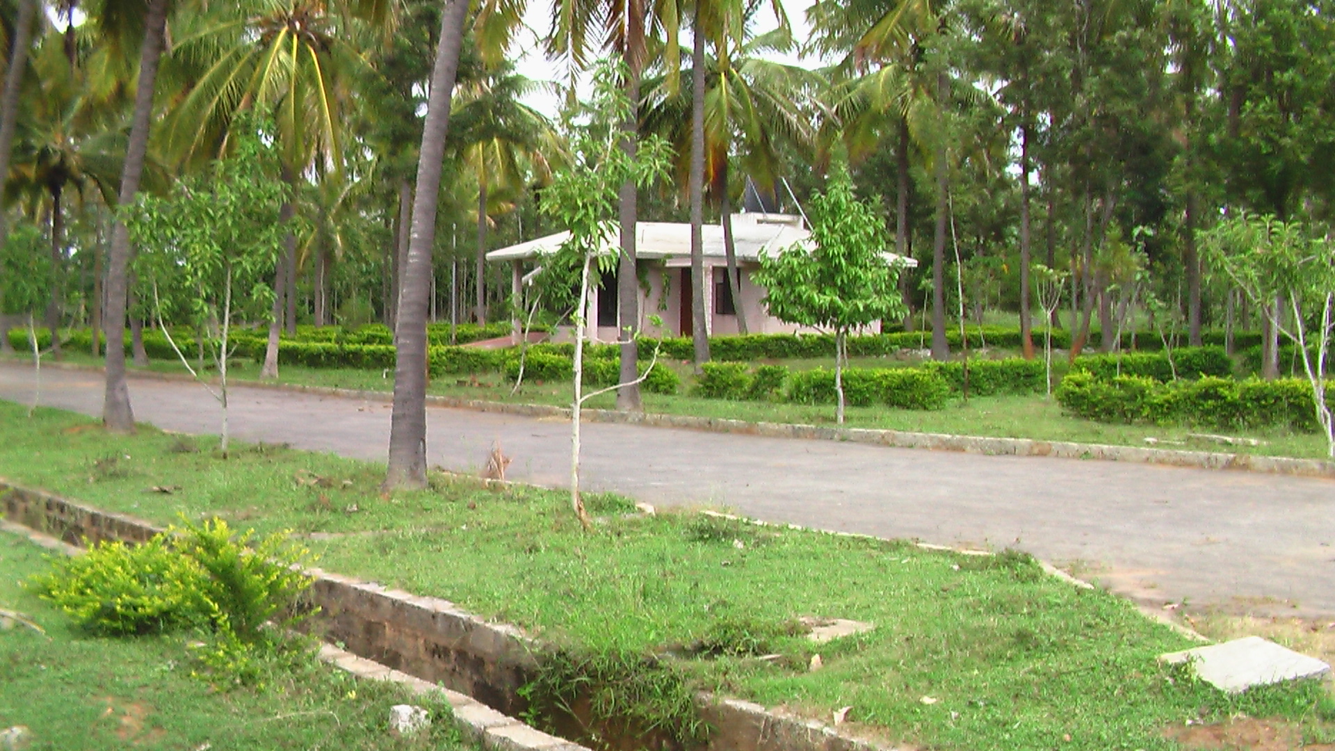 Overall View
