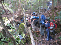 Encountering a few problems with the trail
