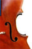 More information about Instructor