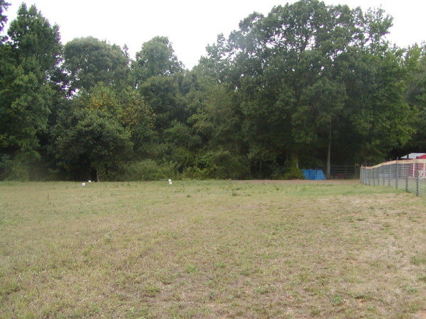 field_shedsite.jpg