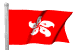 Hong Kong Flag