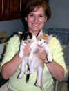 cats2.jpg (36854 bytes)