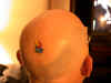 hawkhead.jpg (109879 bytes)