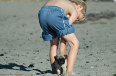 Golden Gardens
