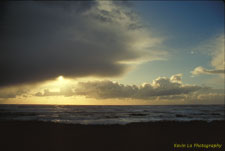Washington Coast