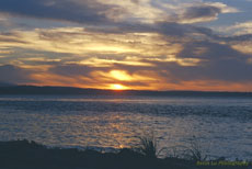 Puget Sound