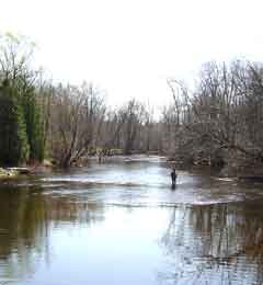 fishing scene