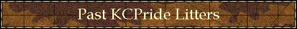 Past KCPride Litters