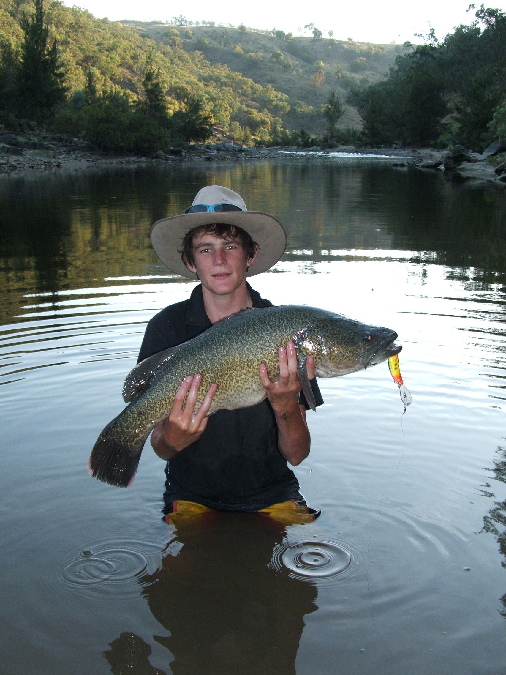 cod on fly