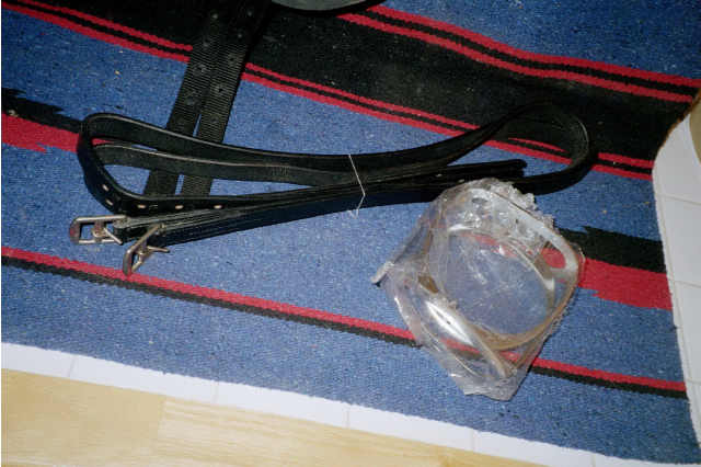 Leathers and stirrups