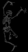 skellt.jpg (3114 bytes)