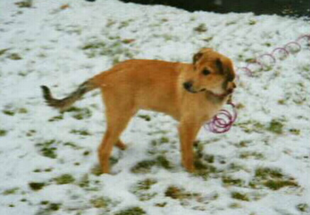 Absolutely adorable!