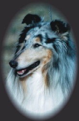 GRAND CHAMPION KEAMAREE BLUE KNIGHT (2004)