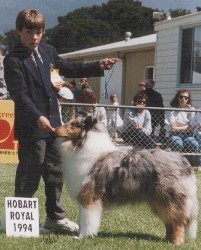 "Robert" & "Kognac" Winning in Group 1994 Hobart Royal Show