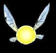 Navi