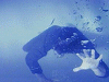 metallica_enter_sandman004.gif (7628 bytes)