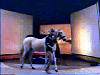 metallica_mama_said001.gif (7274 bytes)