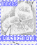 clavenderib019