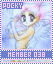Pocky