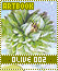colivebm002