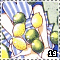 Fruit19