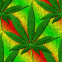 Click Me To Go To 420search.com