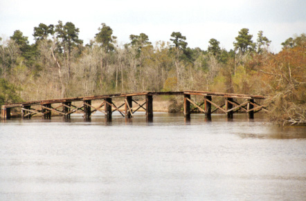 bcb275.jpg (64404 bytes)