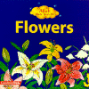 flowers.gif (58872 bytes)