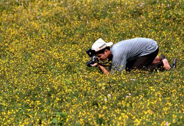 Yeoor, Sanjay Gandhi national park