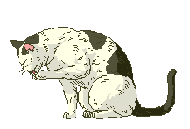 /user/cat53.gif