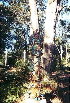 magic garden
