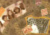 Loanhb2