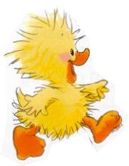 duck2.jpg - 6899 Bytes