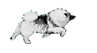 runkees.gif - 8033 Bytes