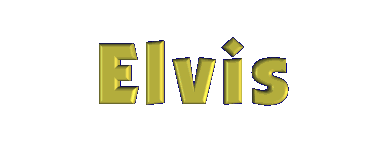 elvis.gif - 41753 Bytes