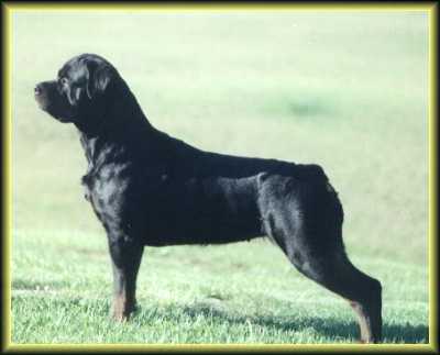marquis2001.jpg - 11814 Bytes
