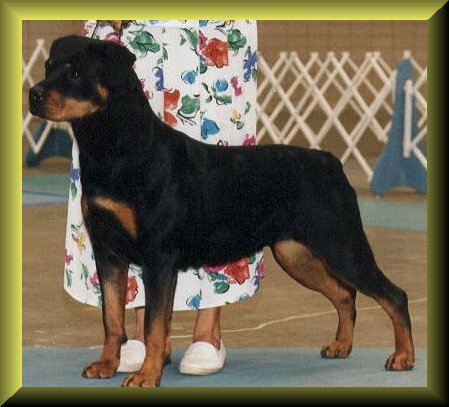 murphy.JPG - 46336 Bytes