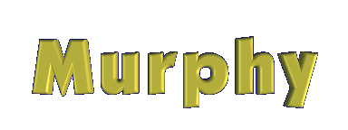 murphy.gif - 62855 Bytes